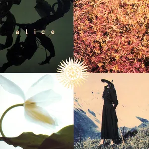 Mezzogiorno sulle Alpi